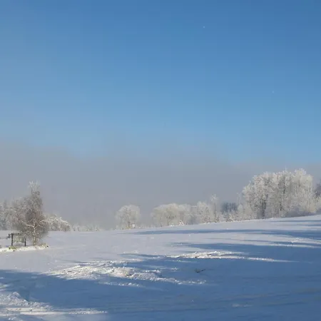 Апартаменты Welcome In - 4-s Mit Balkon, Direkt An Der Skipiste Und Am Bikepark *
